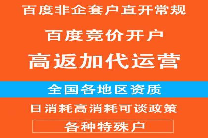 解析SEM竞价代运营公司的技术实力与服务优势